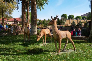 Rusya. Kamensk-Shakhtinsky Rostov bölgesi. Eski köy. Peyzaj Parkı 