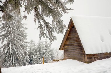 Polonya. Zakopane. Zakopane 'de kayak beldesi. 22 Şubat 2018