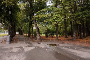 Norveç. Oslo. Vigeland Heykel Parkı. Büyük bir Frogner parkının parçası. Eylül 18, 2018