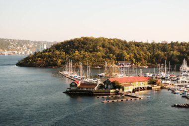 Norveç. Oslo. Feribot güvertesinden Oslo fiyordunun manzarası. 18 Eylül 2018