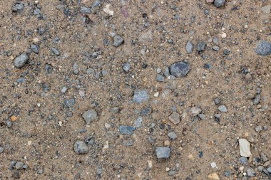 Kumlu doku, sahil, nehir yakası. Küçük taşlar, parlak güneş ışığı ile büyük kum. Dinlenme, yaz, plaj.