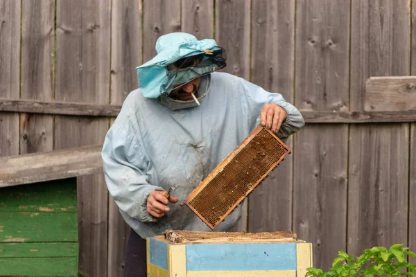Arı yetiştiricisi bal topluyor. Arıcılık konsepti.