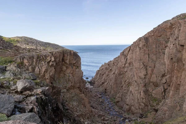 river meets ocean along a rocky shoreline with heavy water flow in a forest area, Motion river