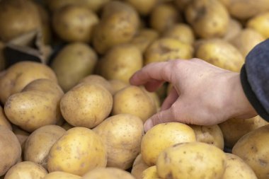 Çiftçi pazarında bir bin taze patates seçerek kadın alışveriş