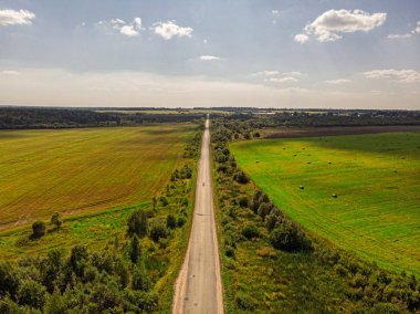 Yaz aylarında yeşil ormanda yol