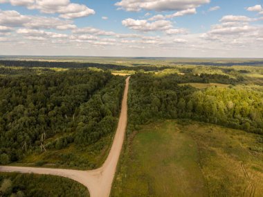 Yaz aylarında yeşil ormanda yol