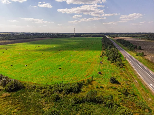 Cesta v zeleném lese v létě — Stock fotografie