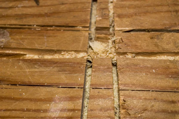 Pine boards, texture, background