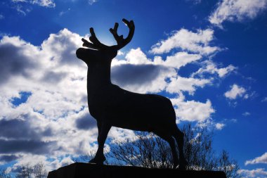Bulutlarla mavi gökyüzüne karşı ren geyiği