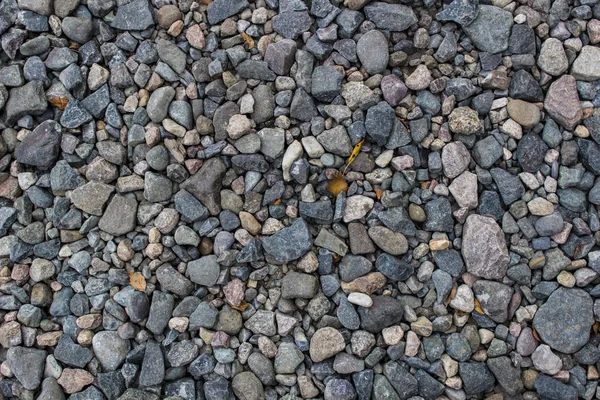 Placer malých a středně oblázků, pozadí, textura — Stock fotografie