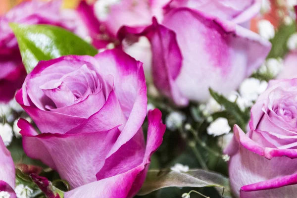 Pembe gül buketi, arka plan