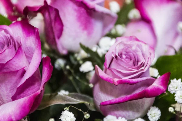 Pembe gül buketi, arka plan