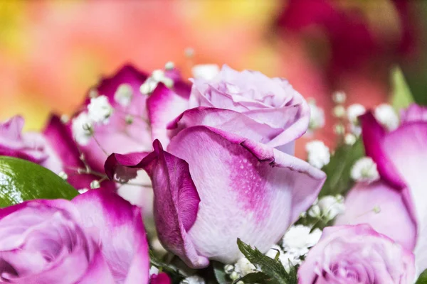 Pembe gül buketi, arka plan