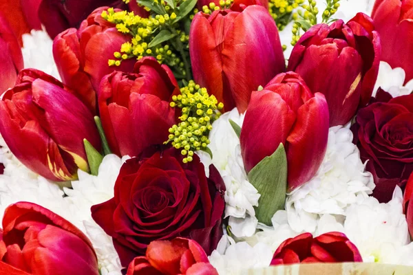 Bouquet of red tulips, background