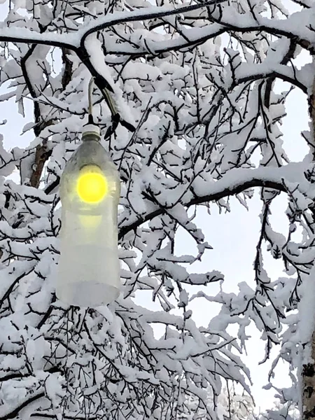 冬季森林背景的黄灯笼 — 图库照片