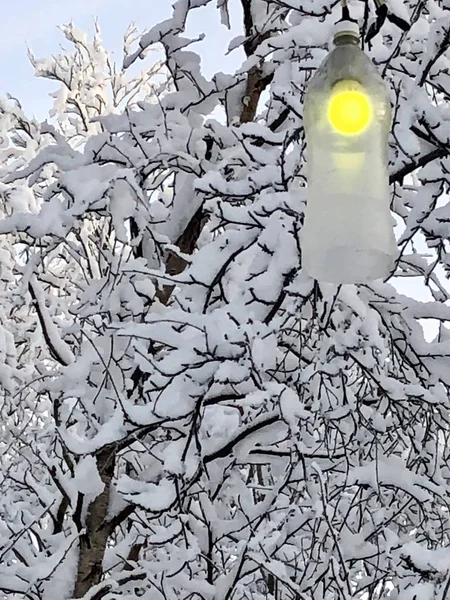 Gul lykta mot en vinter skogs bakgrund — Stockfoto