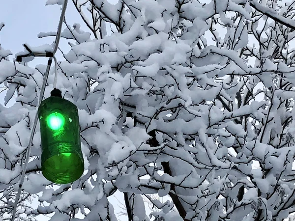 Green lantern on a winter forest background