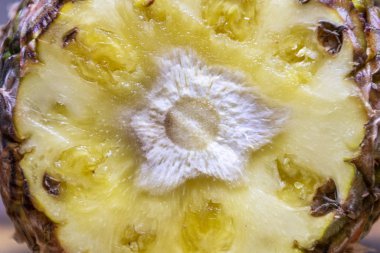 Olgun ananas ve ahşap arka plan tropikal meyve ananas dilimleri