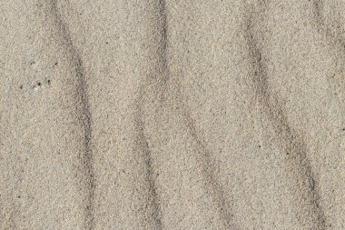 Kum dokusu. Arka plan için kumsal. Üst görünüm