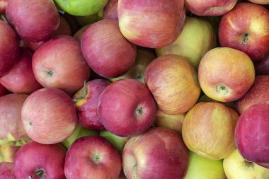 kırmızı elma yakın çekim makro, arka plan