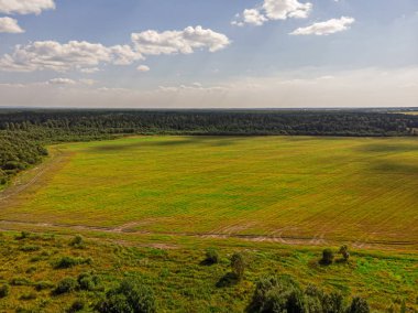 Drone yaz ormanı görünümü