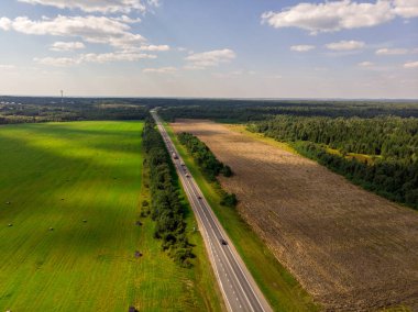 Yaz aylarında yeşil ormanda yol