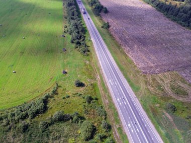 Yaz aylarında yeşil ormanda yol
