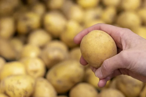 Çiftçi pazarında bir bin taze patates seçerek kadın alışveriş