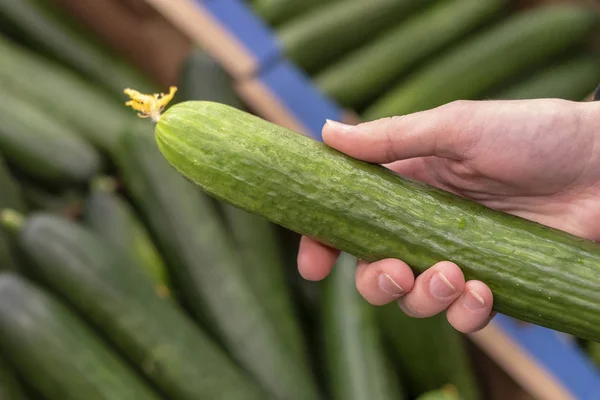 Vrouwen hand kiezen cucumer bij supermarkt — Stockfoto