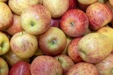 kırmızı elma yakın çekim makro, arka plan