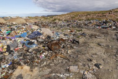 Orman çöpte. Yasadışı çöp orman atılmış insanlar. İnsan ve doğa kavramı. Doğada yasadışı çöplüğü. Kirli çevre yolu ormandaki hiking yakınındaki çöp kirletici. Çöp kutusu