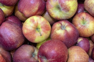 kırmızı elma yakın çekim makro, arka plan