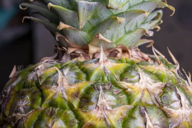 Yeşil ananas yakın, arka plan. Dükkanda yetiştirilen taze ananas çeşitleri. Meyve suyu, strudel, üzüm püresi, komposto için uygun ananas