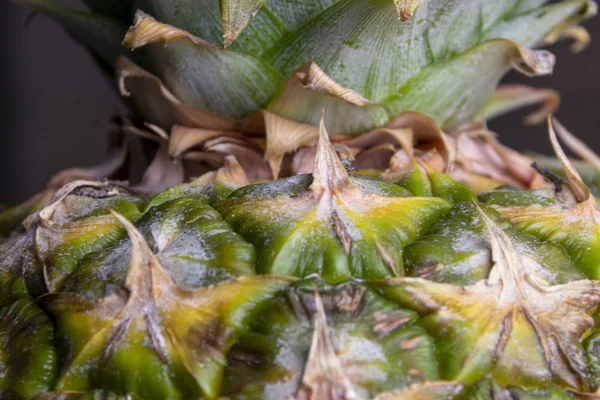 Yeşil ananas yakın, arka plan. Dükkanda yetiştirilen taze ananas çeşitleri. Meyve suyu, strudel, üzüm püresi, komposto için uygun ananas