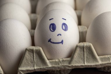 Karton kutuda güzel yumurtalar. Duyguları olan yumurtalar. Farklı yüzler üzerine boyanmış karton kutuda beyaz yumurtalar. Erkek ve kız.