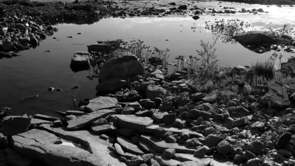 Zomer landschap met uitzicht op de rivier zorgen voor de natuur van het verre noorden — Stockfoto