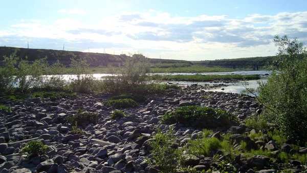 Літній пейзаж з видом на річку подбайте про природу далекої півночі — стокове фото