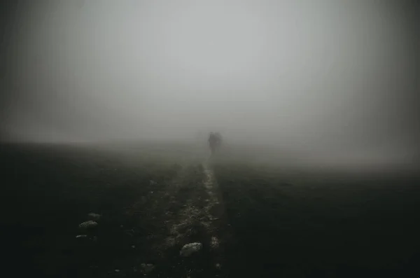 Siluetas Personas Caminando Por Campo Niebla — Foto de Stock