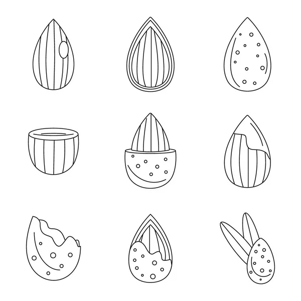 Icônes huile de noix d'amande définir le style de contour — Image vectorielle