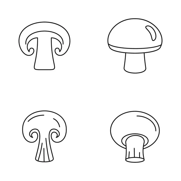 Champignon svamp ikoner set, dispositionsformat — Stock vektor