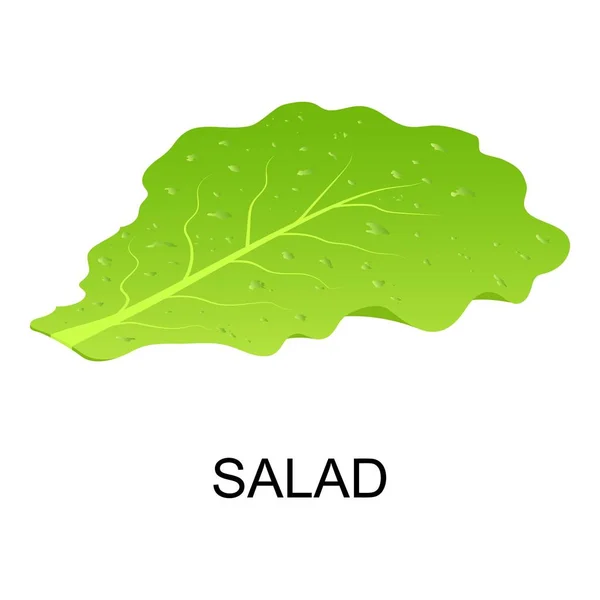 Salade pictogram, isometrische stijl — Stockvector