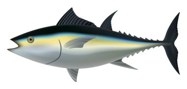 Tuna fish mockup, realistic style clipart