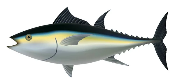 Mockup di pesce tonno, stile realistico — Vettoriale Stock
