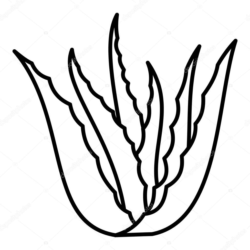 Aloe vera plant icon, outline style