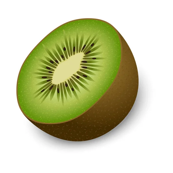 La moitié de la maquette kiwi, style réaliste — Image vectorielle