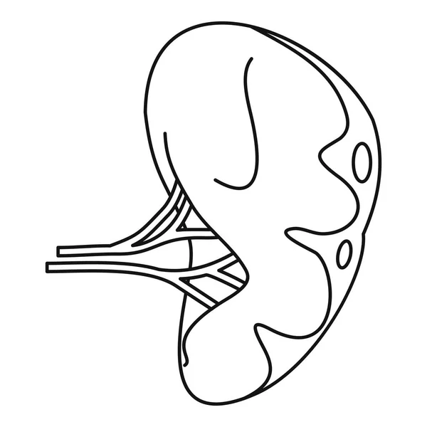 Human spleen icon, outline style — Stock Vector