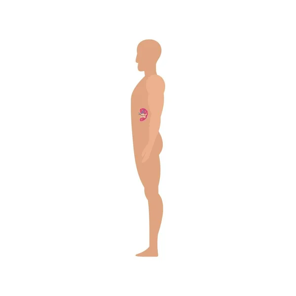 Vista laterale milza icona del corpo umano, stile piatto — Vettoriale Stock