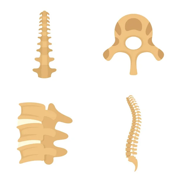 Ensemble d'icônes de vertèbre orthopédique vertébrale, style plat — Image vectorielle