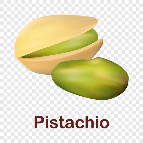 Icono de pistacho, estilo realista — Archivo Imágenes Vectoriales
