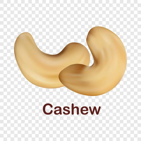 Cashew-ikonen, realistisk stil — Stock vektor